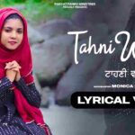 Taahani wangu Yeshu Lyrics | टाहणी वांगू येसु मैनूं - Jesus